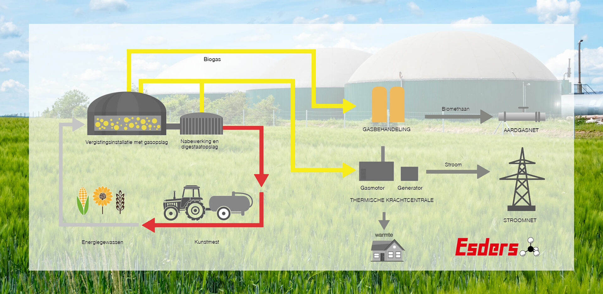 Biogasinstallatie-opstelling